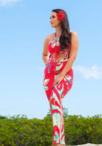 Hautiare V Spandex Dress
